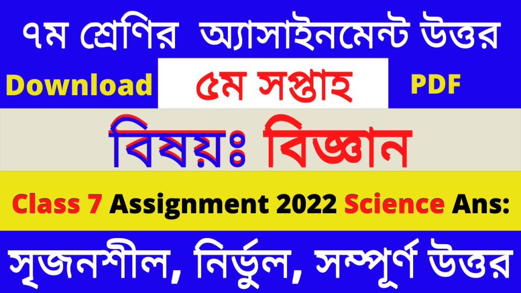 assignment of class 7 5th week answer